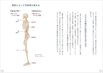 痛みと闘う (UP選書) 痛みと闘う (UP選書)-正規品の通販サイト